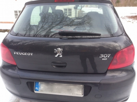 Peugeot 307 full opcja Przeróbka na skalę HD • Blog auta